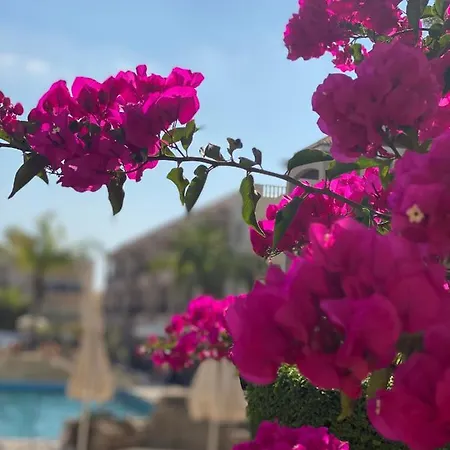 Апартаменти Royal Seacrest а203 Sea View Пафос